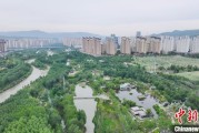 梦见坟地西宁市举办六五环境日主题宣传活动