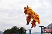 梦见坟地（文化中国行）壮乡狮舞闯南洋：脚踏“云桩” 饮誉海内外