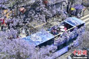 梦见坟地2024年云南重点高原湖泊水质稳定 抚仙湖达Ⅰ类